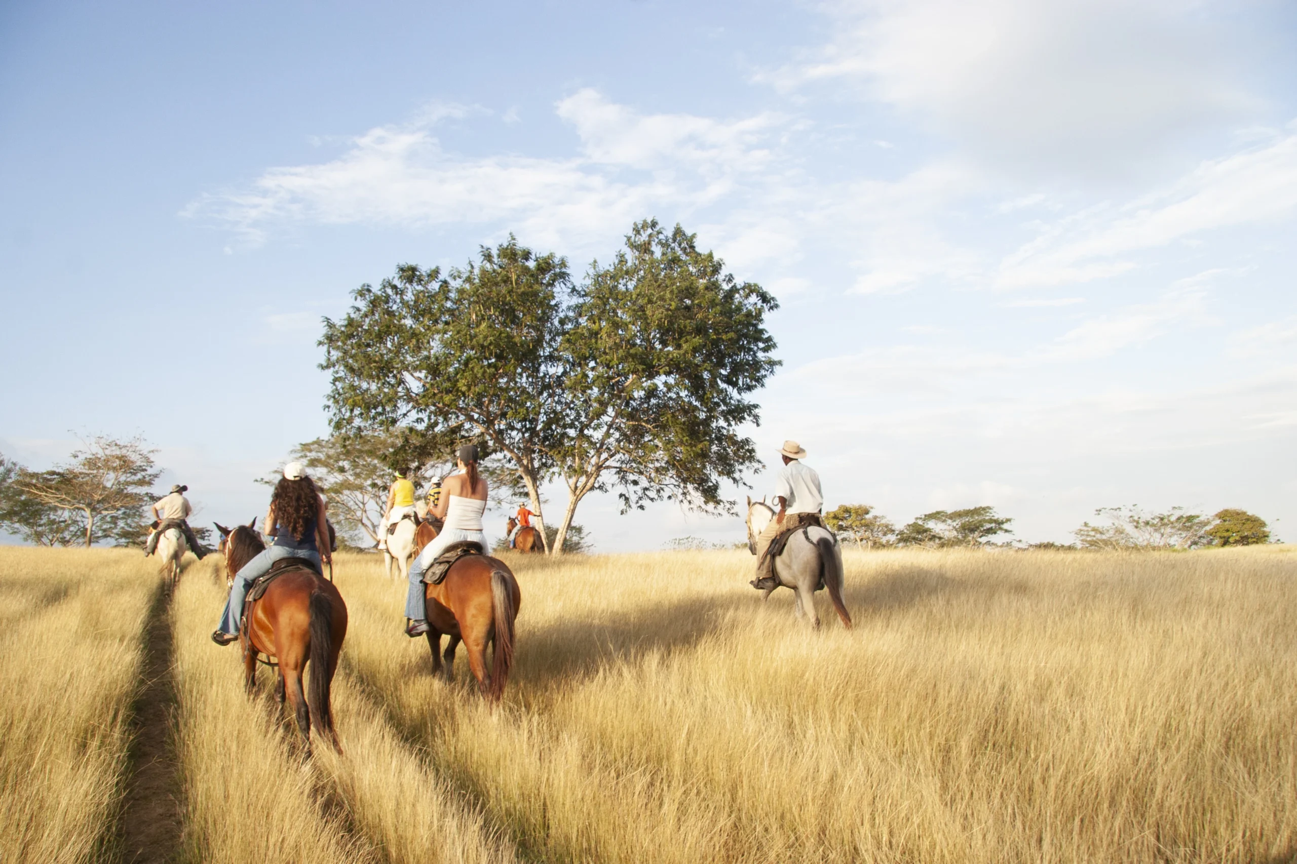 monteria-cordoba4